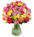 30 Rosen – Rosenglück XXL – mit bis zu 100 Blüten für 27,48€