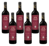 6 Flaschen Caballo de Oro Valdepenas DOP Reserva Rotwein für 29,94€