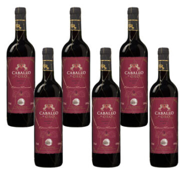 6 Flaschen Caballo de Oro Valdepenas DOP Reserva Rotwein für 29,94€