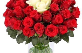 Sweetheart Blumenstrauß mit 50 Rosen für 30,48€