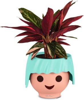 LECHUZA OJO Blumentopf (19043) in aquamarine für 17,01 Euro