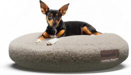 brunolie SnugNest Hundebett (50 cm) für 16,99 Euro