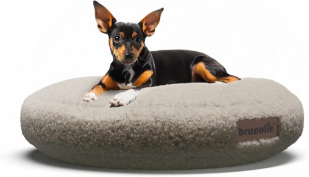 brunolie SnugNest Hundebett (50 cm) für 16,99 Euro
