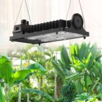 SANSI 100W LED-Pflanzenlampe für 19,99 Euro