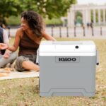 IGLOO IE42 AC/DC elektrische Kühlbox (42 L) für 67,63 Euro