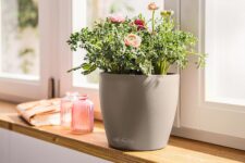 LECHUZA CLASSICO Color 28 Pflanztopf (sandbraun) für 22,99 Euro