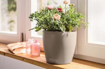 LECHUZA CLASSICO Color 28 Pflanztopf (sandbraun) für 22,99 Euro