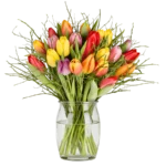 “Modern Love” Blumenstrauß mit 14 Tulpen für 29,48 Euro