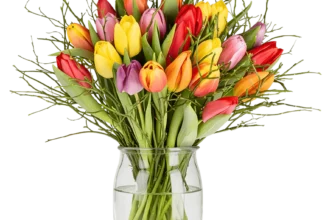 “Modern Love” Blumenstrauß mit 14 Tulpen für 29,48 Euro