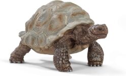 SCHLEICH WILD Life Riesenschildkröte (14824) für 5,99 Euro