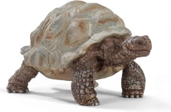 SCHLEICH WILD Life Riesenschildkröte (14824) für 5,99 Euro