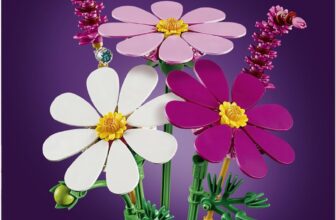 LEGO Botanicals Kosmeen (11514) für 9,99 Euro