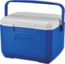 Coleman 5QT Performance – Passive Kühlbox (4,7 L) für 14,99 Euro