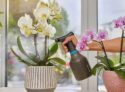 Gardena Pumpsprüher (0,75 l) für 4,99€