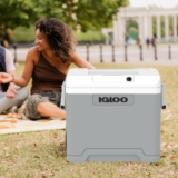 IGLOO IE42 AC/DC elektrische Kühlbox (42 L) für 67,63 Euro