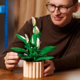 LEGO Botanicals Friedenslilie (11504) für 33,99 Euro