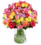 30 Rosen – Rosenglück XXL – mit bis zu 100 Blüten für 27,48€