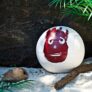 WILSON MR Castaway Volleyball für 19,99 Euro